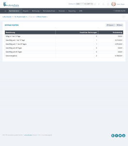 vulturisFinanzen - Rechnungswesen - offene Posten